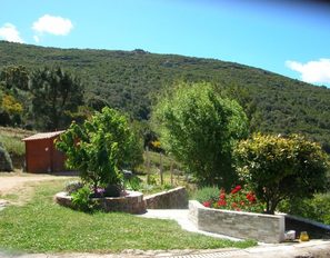 photo1jpg