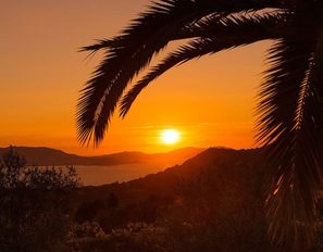 palmeraie-landscape-sunset