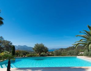 palmeraie-piscine