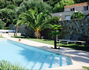 palmeraie-piscine