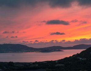 palmeraie-sunset
