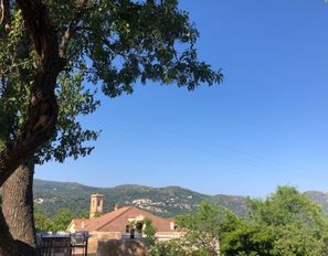 img_5253
