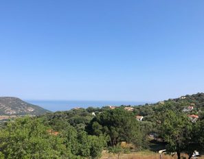 img_5274