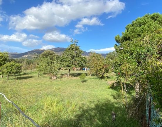 Appartement avec grand terrain Vue dégagée
