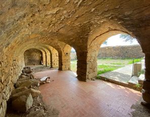 img_2421
