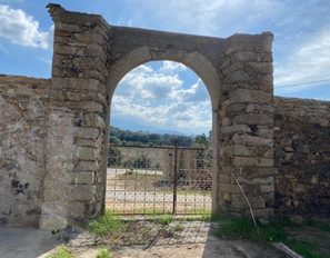 img_2426