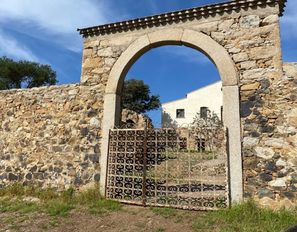 img_2449