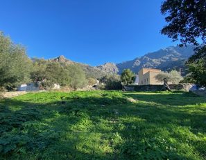 img_3333