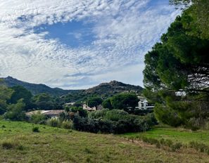 img_4159