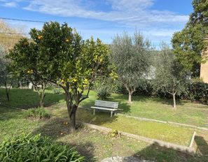 img_7429--grande