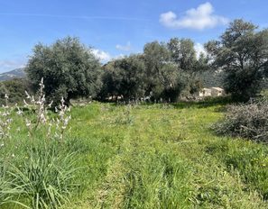 img_6140jpeg