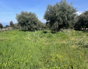 img_6141-2jpeg