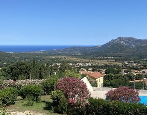 img_8366--grande