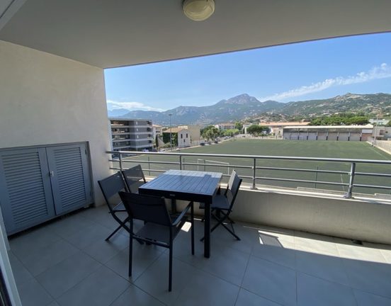 T1 avec grande terrasse
