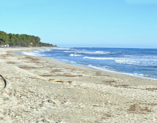 T3 PROGRAMME NEUF GILIA MARINA