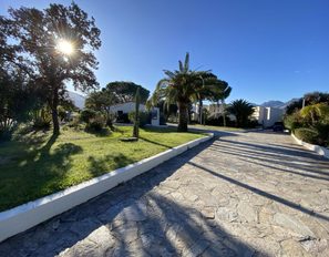 img_0087--grande