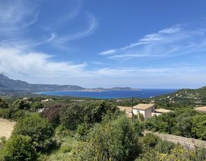 img_2137--grande