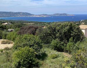 img_2141--grande