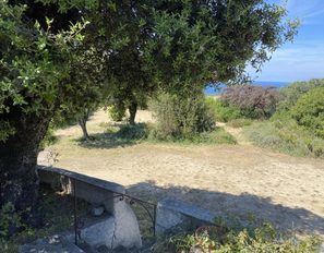 img_2157--grande