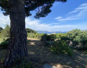 img_2172--grande