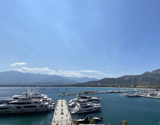 Magnifique appartement - vue mer 