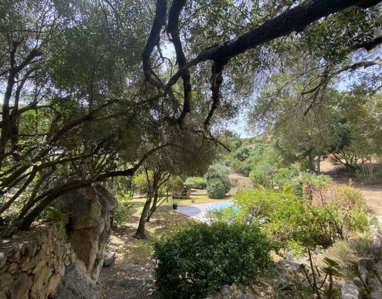 Terrain magnifique à Calvi