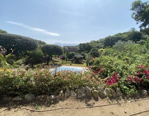 img_2439--grande