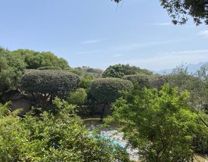 img_2454--grande