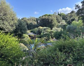 img_7229--grande
