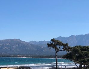 img_1207