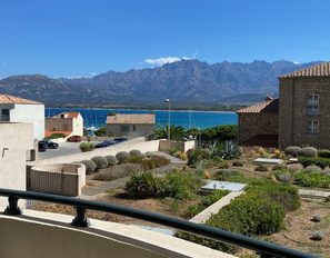 img_5479