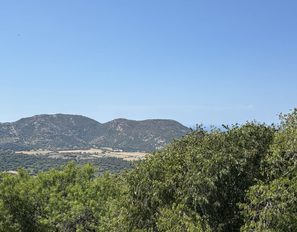 img_5919--grande
