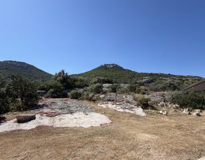 img_6847--grande
