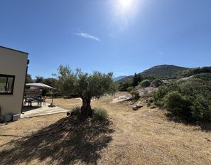 img_6893--grande