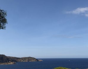 img_8725--grande